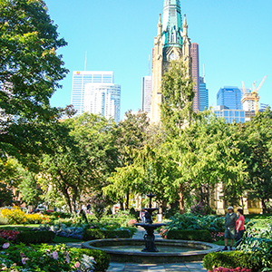 St. James Park